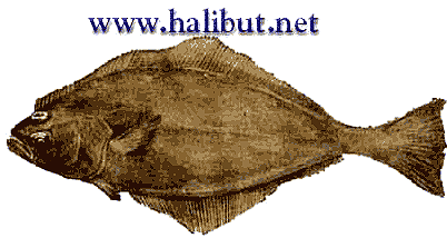 halibut/halibut fishing/ halibut recipes